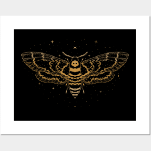 Death Moth - Acherontia Atropos Posters and Art